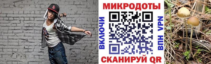 Купить  Мыски  Галлюциногенные грибы MAGIC MUSHROOMS 